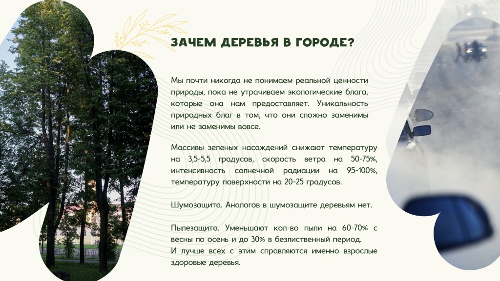 Снимок 23.06.2025 в 13.16.jpg Снимок 23.06.2025 в 13.16.jpg