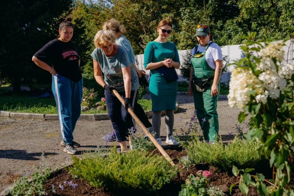 библиотека 2.JPG