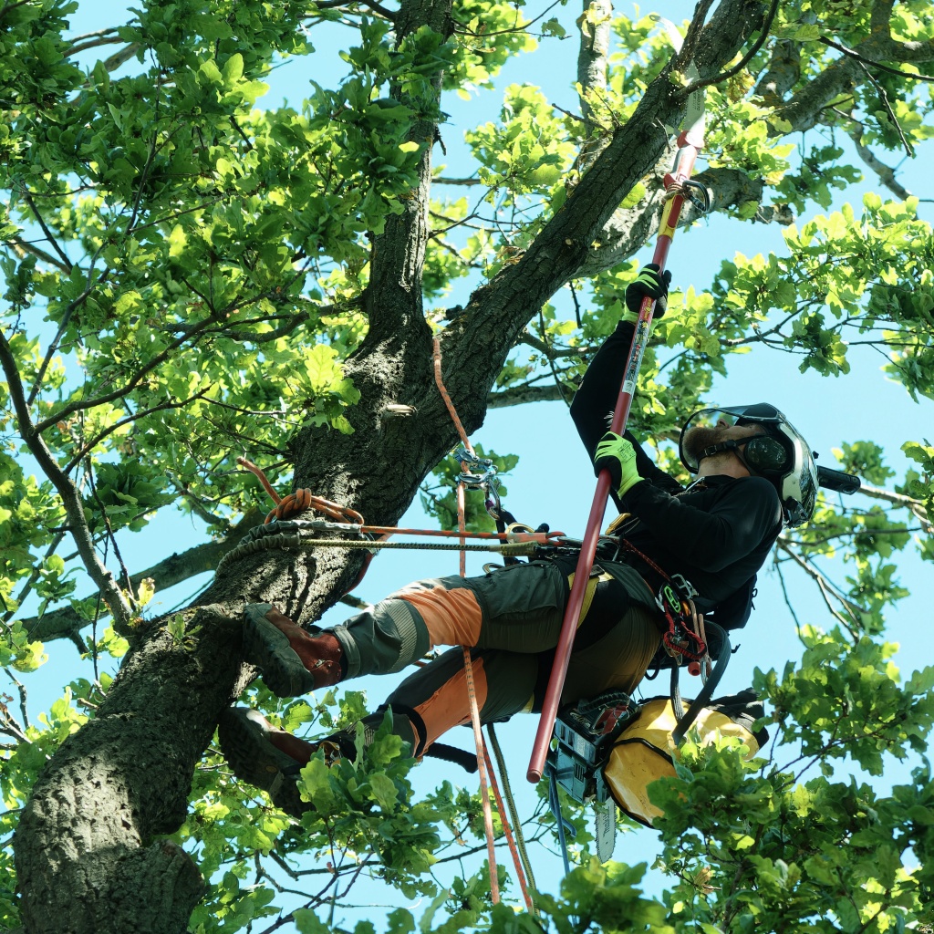 Фото --76.jpg Фото --76.jpg