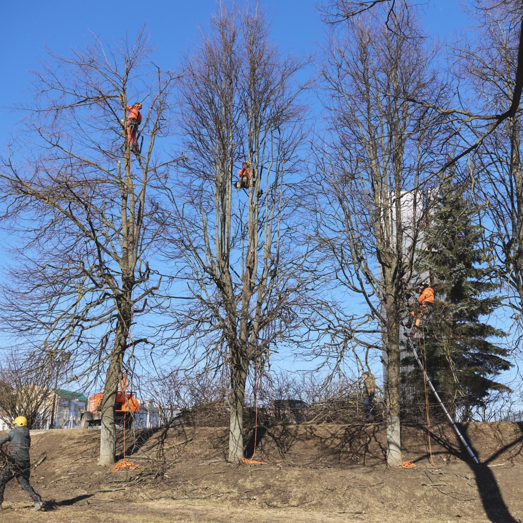 OZ8_8406.jpg OZ8_8406.jpg