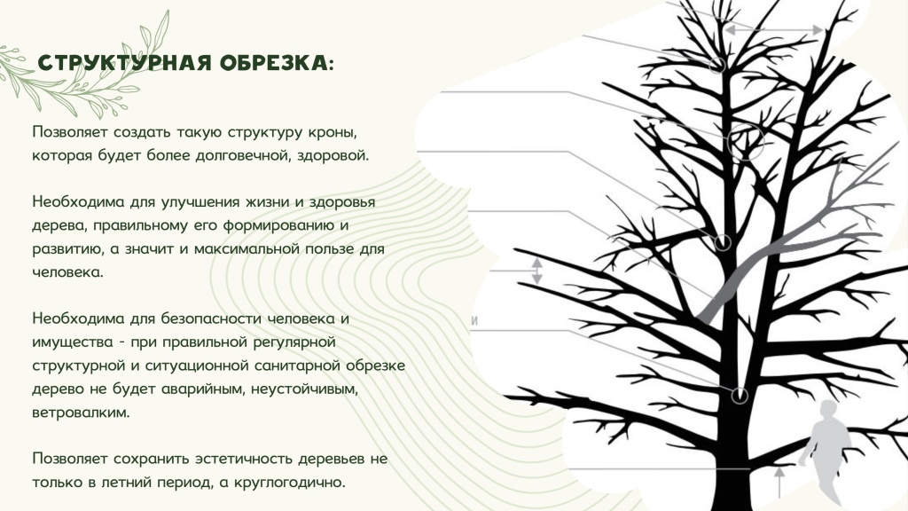 Снимок 23.06.2025 в 13.28.jpg Снимок 23.06.2025 в 13.28.jpg