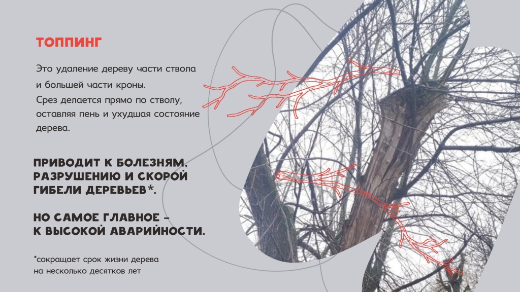 Снимок 23.06.2025 в 13.28 (1).jpg Снимок 23.06.2025 в 13.28 (1).jpg